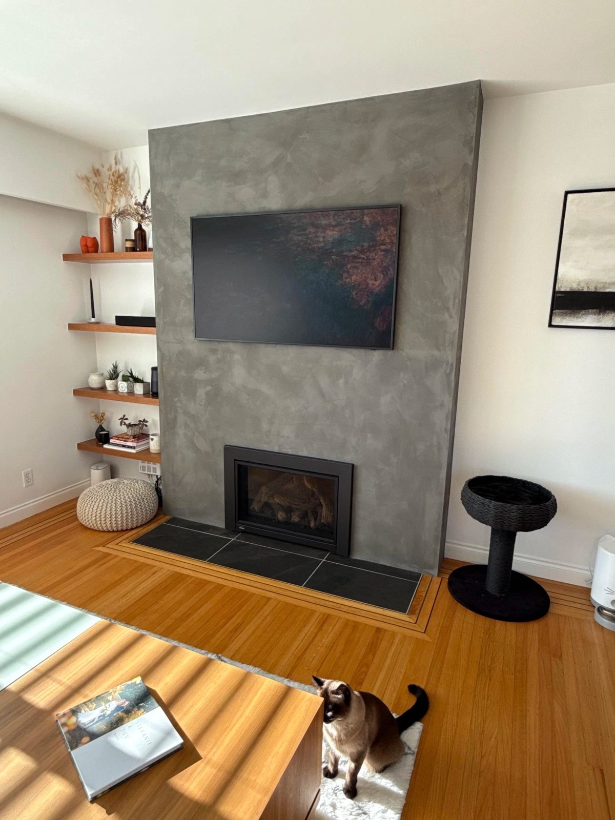 Living — 10th Street East fireplace remodel